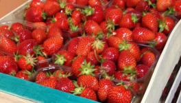 Confiture de fraises sans sucre