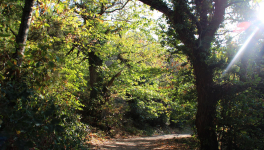 Au fin fond de la Cochinchine.