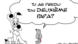 LES LARMES D'IDEFIX