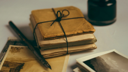 Chapitre 1 - Noëlla