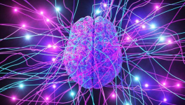 L'humour, c'est l'amour des mots qu'on susurre à haute voix.