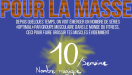 Périodiser son volume par muscle ou combien de séries par semaine pour la masse ?