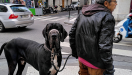 L'homme qui n'était plus seul