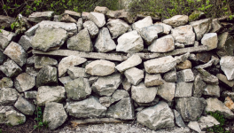 Une pensée partagée