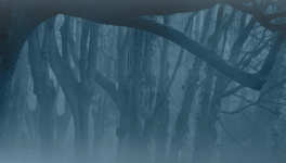 La capture du Ardent