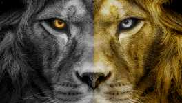 60. La Légende de Nil. Jean-Marc Ferry. Livre II, L'Utopie de Mohên. Chapitre X,4