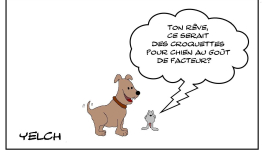 Les meilleurs croquettes pour chien