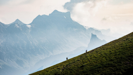  Compostelle malgré nous« Immortelle randonnée, Compostelle malgré moi » de Jean-Christophe Ruffin