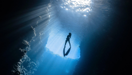 Chapitre 5 - Une brèche