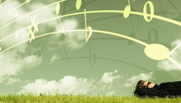 Jour 3  - 25/11/2018