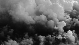 JOURNAL DE L’ANNÉE DE LA PESTE : 11 mai