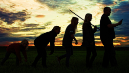 L'hypothèse de la Reine Rouge : comment les interactions entre espèces sont le moteur de l'évolution