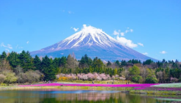 Escalade du Mont-Blanc : j’atteins la cime en mode Directissime