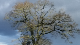 Le gardien des âmes