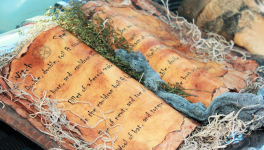 Un halloween vraiment magique