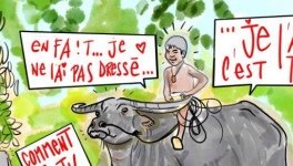 ZEN : LES DIX TABLEAUX DU DRESSAGE DU BUFFLE