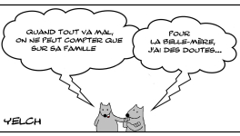 Tout sauf la belle-mère