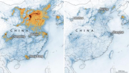 4 Leçons Du Coronavirus Pour Préparer La Crise Environnementale (Part. 1/4)