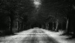 LE TEMPS DE LA DETRESSE