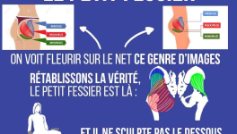 Ces muscles méconnus : Le petit fessier