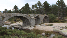 La vérité n'appartient pas à ceux qui la détiennent