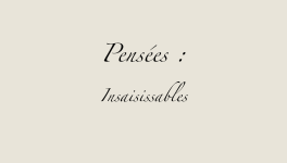 Insaisissables