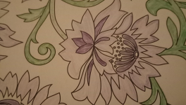 Alice et le magistrat