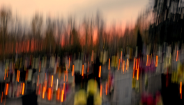 Mini expo photo 16 : Le cimetière