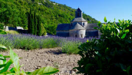Les Serbes de Provence