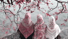 À voile et à vapeur