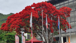 Oui, Charlie, mais au fait : c'est quoi les Soins Palliatifs ?