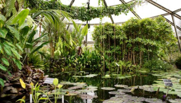 "Petite Venise" suivi de "La porte astrale", S39