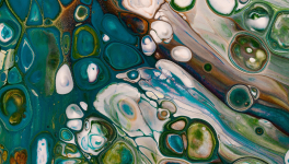 Character Design. Semaine 28