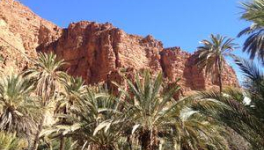 L'Eden...et Tafraoute