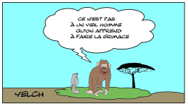 Singe qui fait la grimace