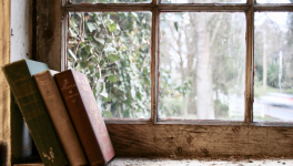 La PAL du mois de Décembre 2021