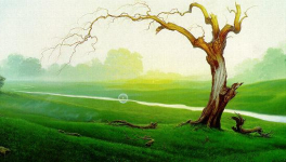 BIVACCO NELLA PALUDE