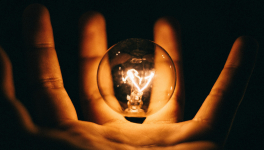 Une idée entrain de germer...