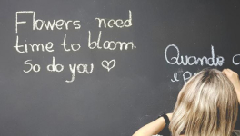 faciliter la lecture de toutes les contributions sur Panodyssey ?