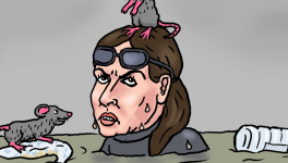 Anne Hidalgo se baigne dans la Seine