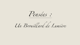 Un Brouillard de Lumière