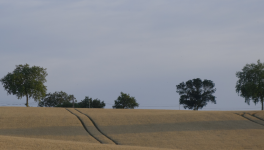 Curieuse envie de ciel et pourtant...