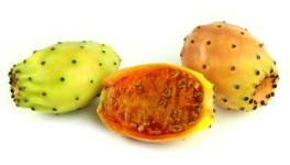 Les saisons d’un papa solo