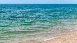 Se jeter à l'eau Candice, c'est un peu "se mouiller"