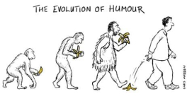 Je ne plaisante jamais avec l'humour !