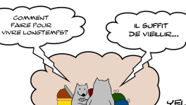 RATPSODIES - BEST OF SUMMER 2023 - 14