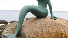 Souchon hobo : du bobo au Beau.