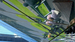 Vive l’antigravité !