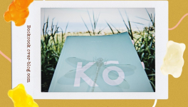 J'ai lu... Kô - Joëlle Ecormier