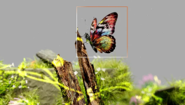 Le rôle clé de l'IA dans les défis liés au changement climatique